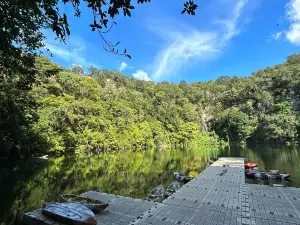 Cenote Miguel Colorado