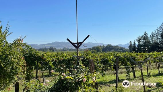 Napa County