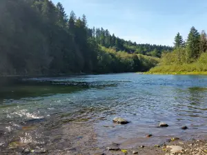 Milo McIver State Park