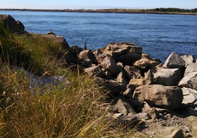 Jessie M. Honeyman Memorial State Park