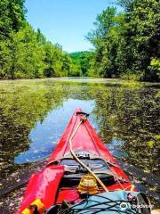 Hoosier National Forest