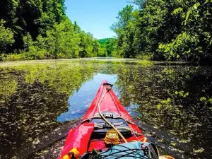 Hoosier National Forest