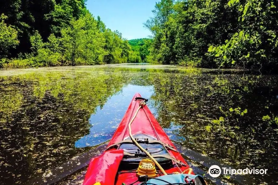 Hoosier National Forest