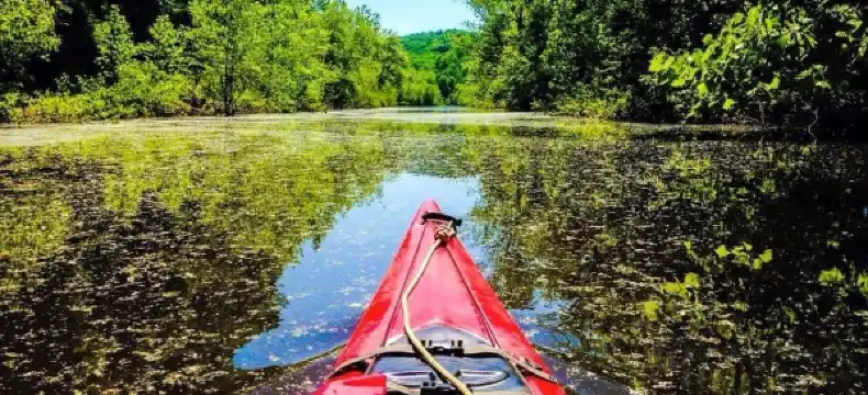 Hotels in Orange County