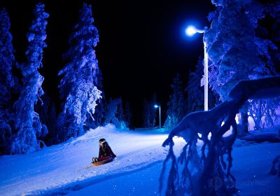 Saariselkä Ski & Sport Resort Ltd