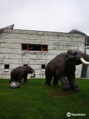 Glacier Museum