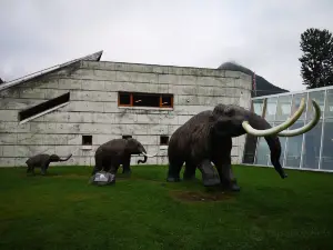 Museo Noruego del Glaciar