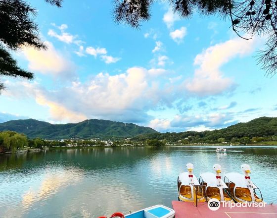 堤川市 自由行套票