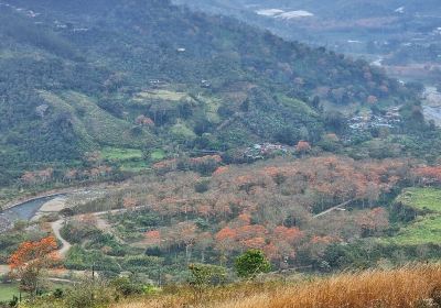 Orosi River Valley