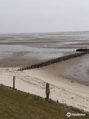 Naturpfad Vogelkoje Kampen