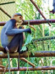 Endangered Primate Rescue Centre