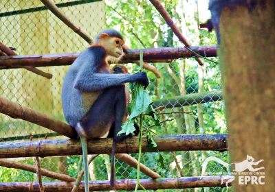Endangered Primate Rescue Centre