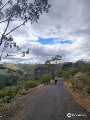 Parque nacional Tubos de Órgano