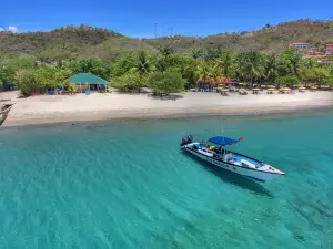 Dive Grenada