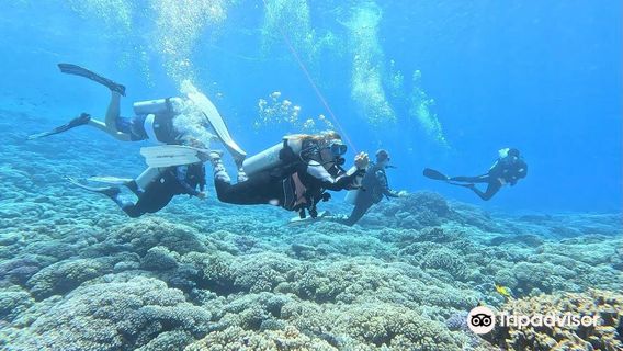 TOPDIVE Fakarava