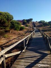 Playa de Matalascañas