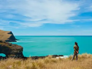 Pohatu penguins/Plunge NZ Ltd