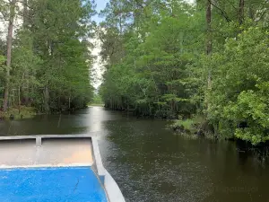 Gulf Coast Gator Ranch & Tours