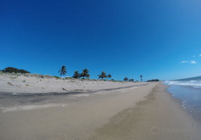 Cape Upstart National Park