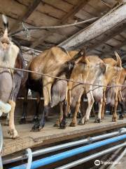 La ferme du Chaudron Magique