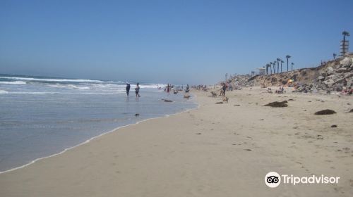 Dog Beach | Huntington Beach