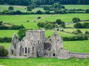 Hore Abbey Entrance