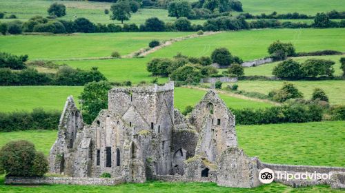 Hore Abbey