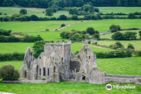 Hore Abbey Entrance