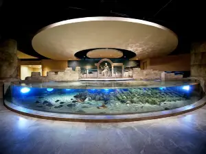 Istanbul Aquarium