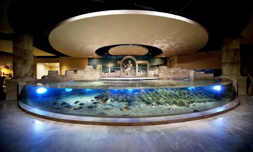 Istanbul Aquarium