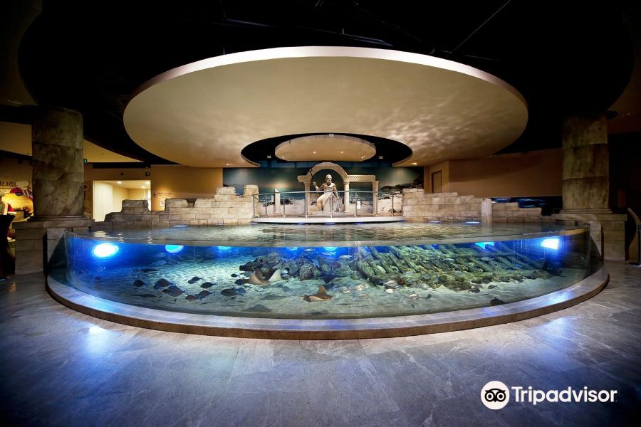 伊斯坦堡水族館