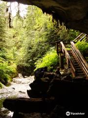 Upana Caves Interpretive Forest Site Path Entrance