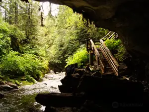 Upana Caves Interpretive Forest Site Path Entrance