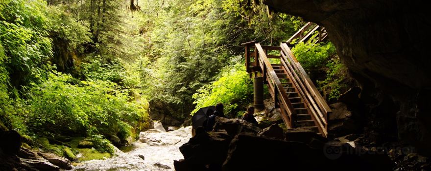 Upana Caves Interpretive Forest Site Path Entrance