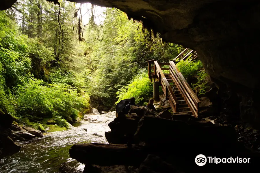 Upana Caves Interpretive Forest Site Path Entrance