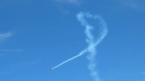 Vintage Wings of Canada