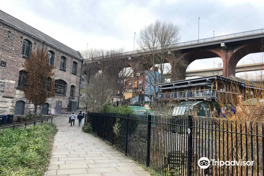 Ouseburn Farm Charity Ltd