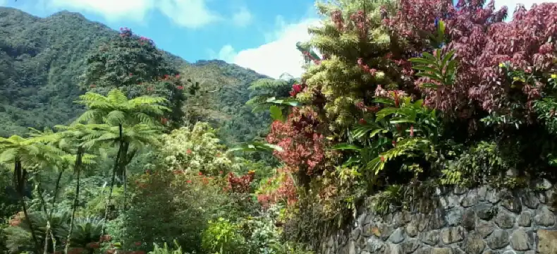 Hotels With Airport Shuttle in Charlotte, Saint Vincent and the Grenadines