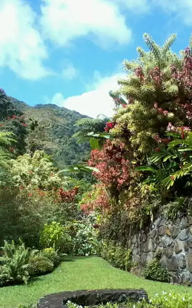 โรงแรมพร้อมWifiในชาร์ล็อต เซนต์วินเซนต์และเกรนาดีนส์