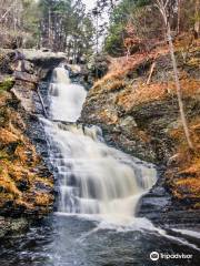 Raymondskill Falls