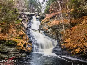 Raymondskill Falls