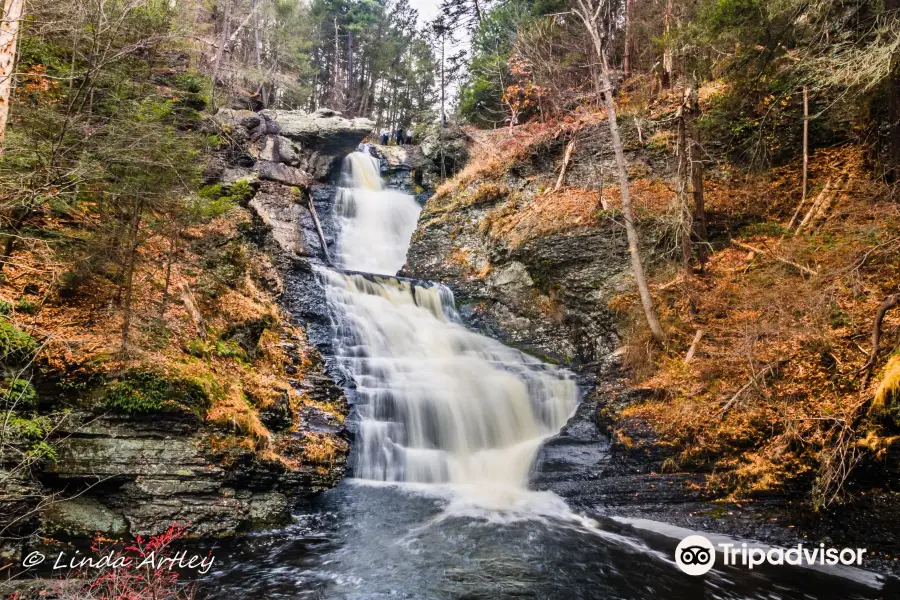 Raymondskill Falls