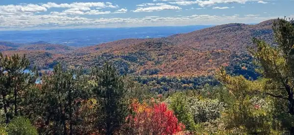 Magnuson Hotel Properties in Warren County