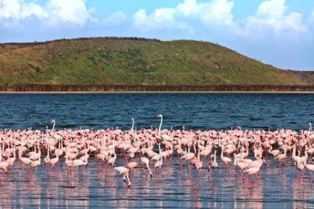 Akrotiri Salt Lake