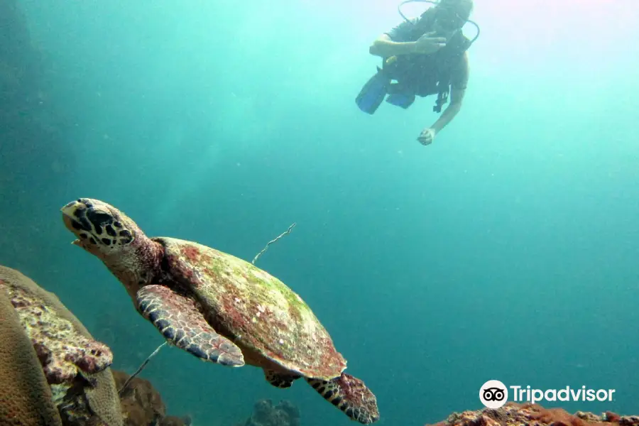 Scuba Ninjas Phuket