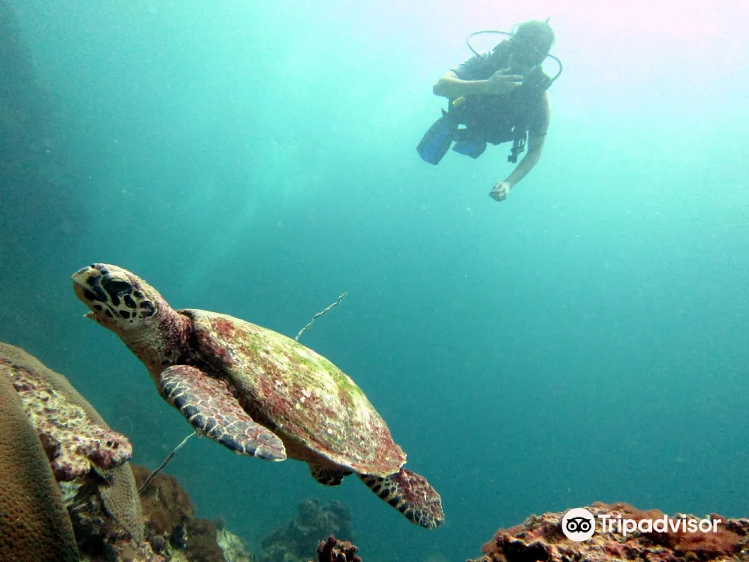 1_Scuba Ninjas Phuket