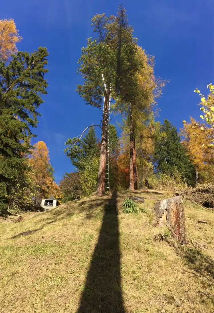 Зент