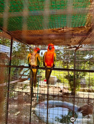 Xzootic Animal Park