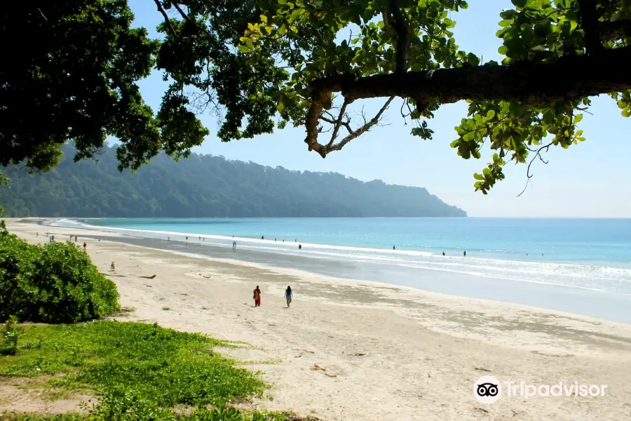 Radhanagar Beach