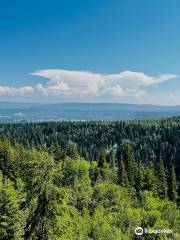 Pinnacles Provincial Park